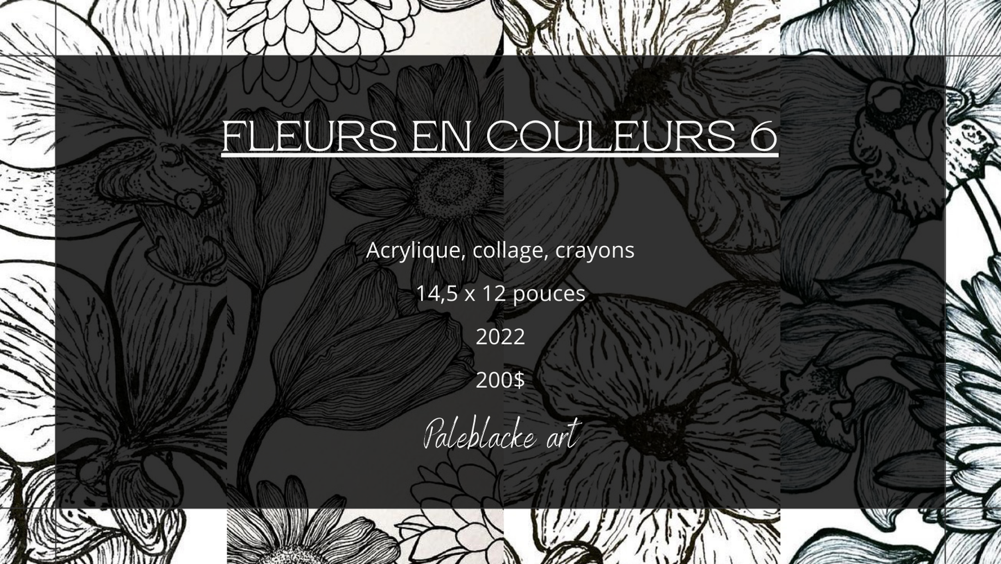 Fleurs en couleurs 6