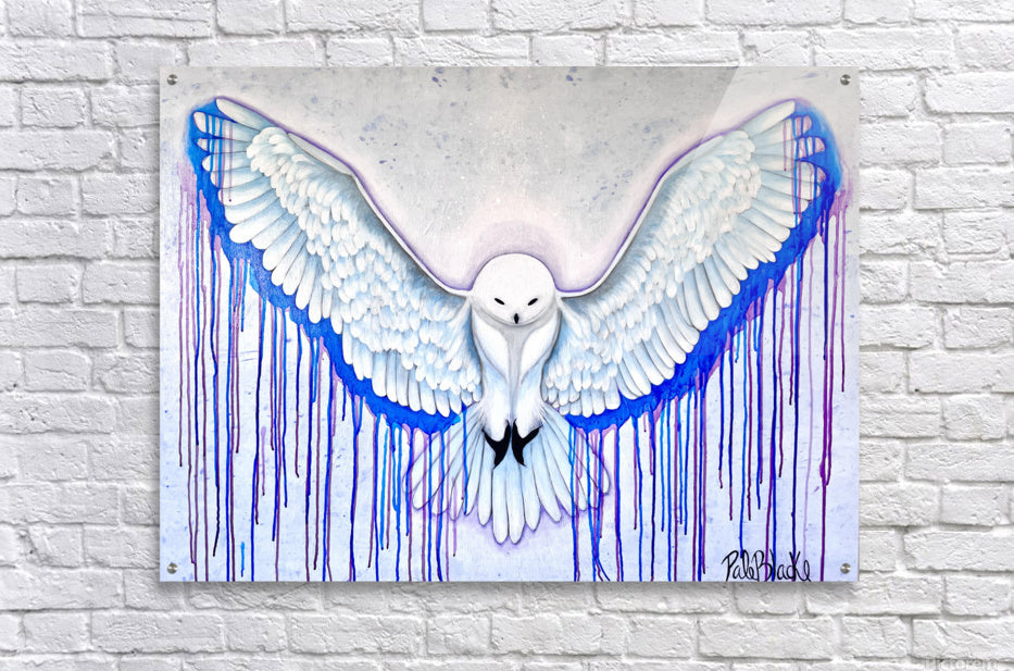 Acrylic Print
