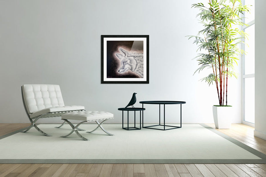 Framed Print