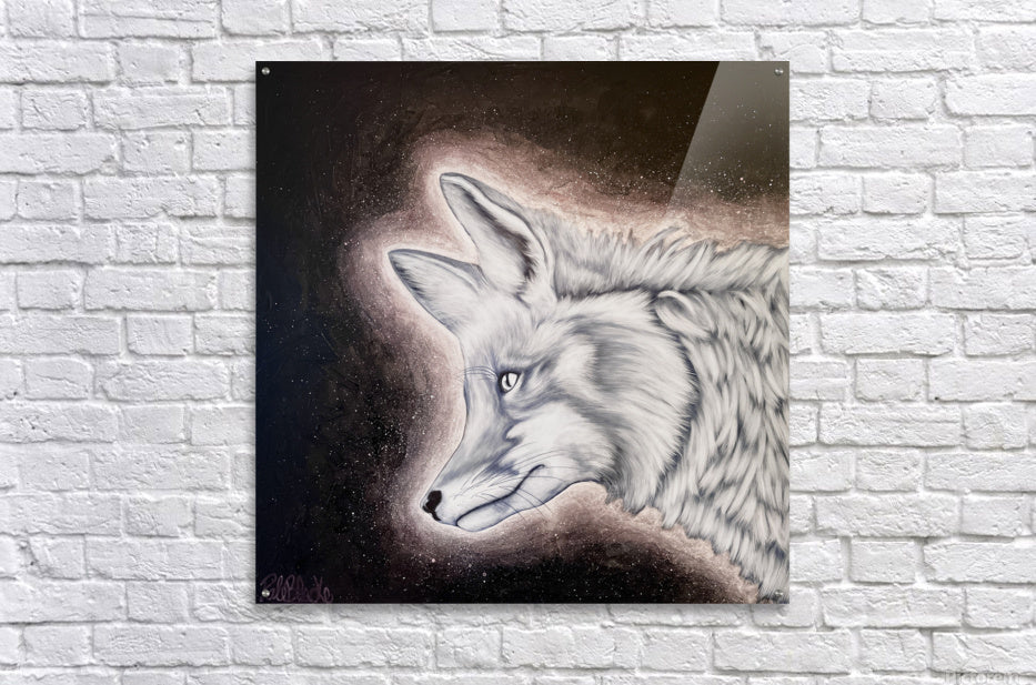 Acrylic Print