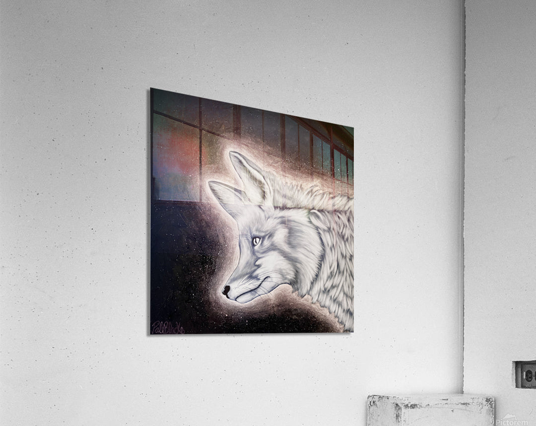 Acrylic Print
