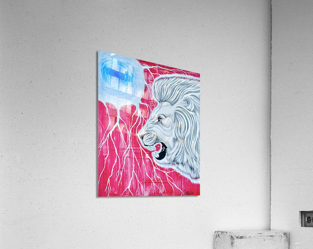 Acrylic Print