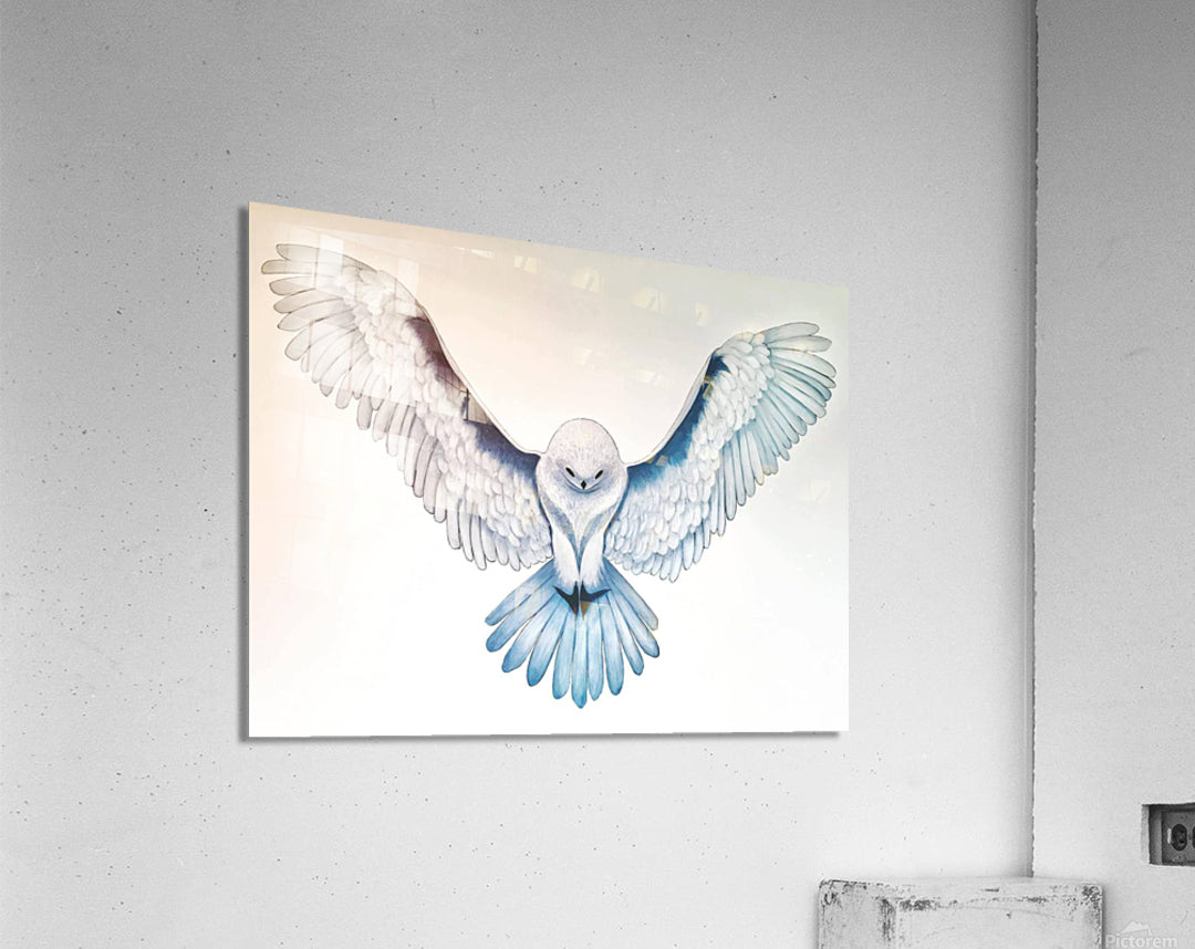 Acrylic Print